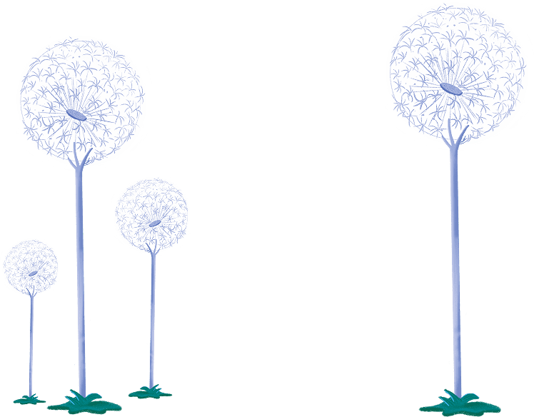 Puffdandelion