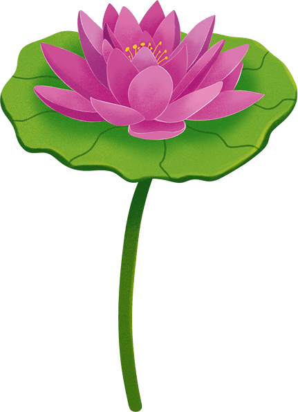 Kvu Water Lily