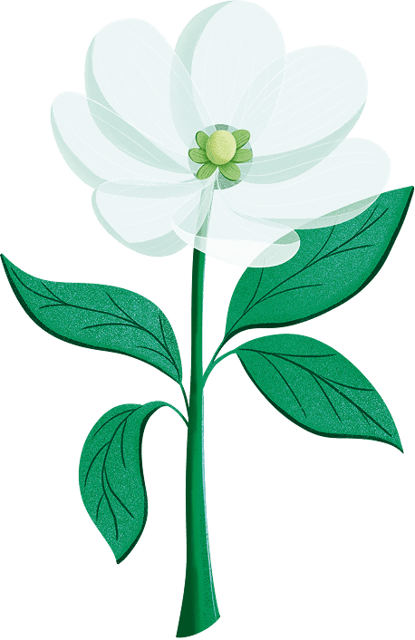 Lily-Poppy