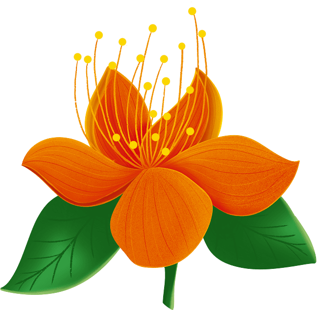 Robus Flower