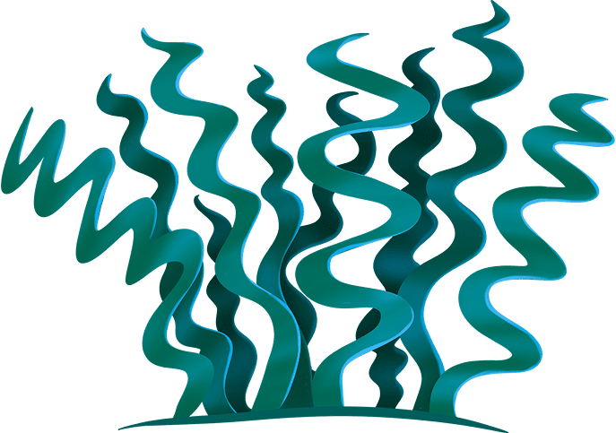 Crootcoil